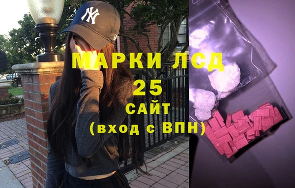 эйфоретик Няндома