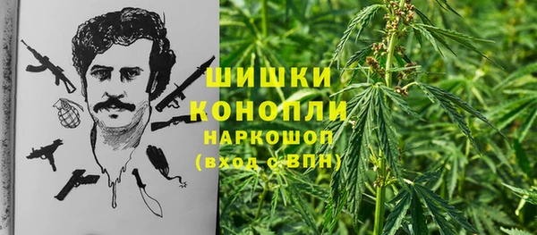 spice Нягань