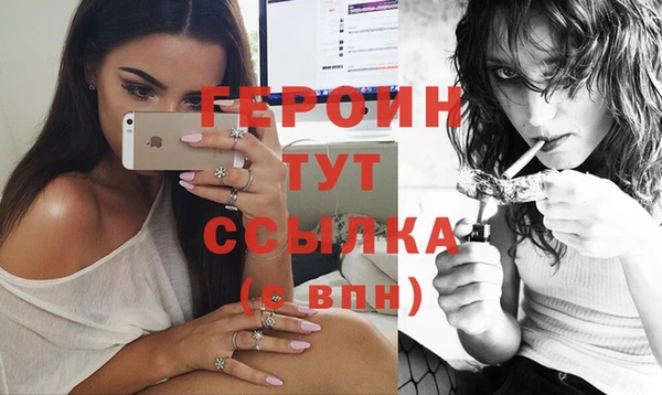 эйфоретик Няндома
