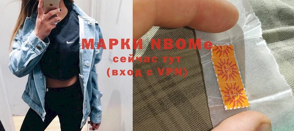 эйфоретик Няндома