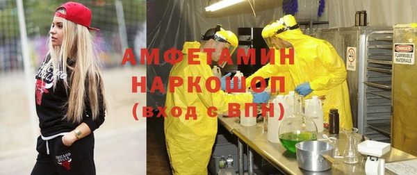 эйфоретик Няндома