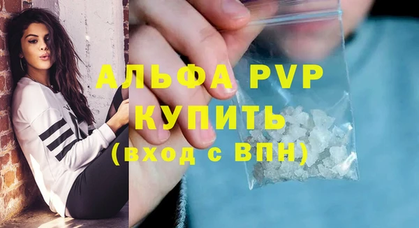 эйфоретик Няндома